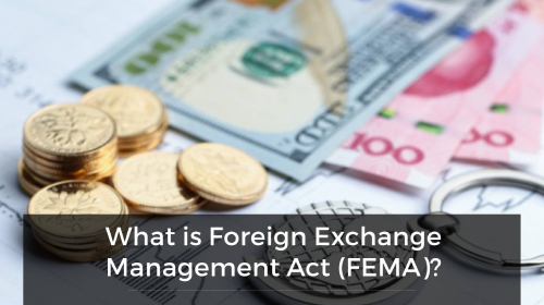 What Is Foreign Exchange Management Act (FEMA)?